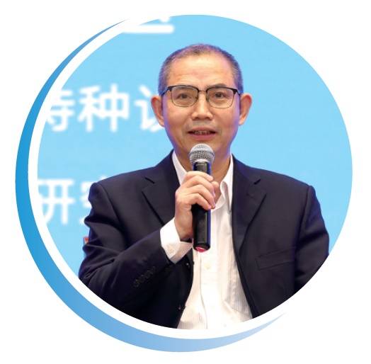 光为引 照见未来pg电子试玩以(图4) 光为引 照见未来pg电子试玩以(图4)